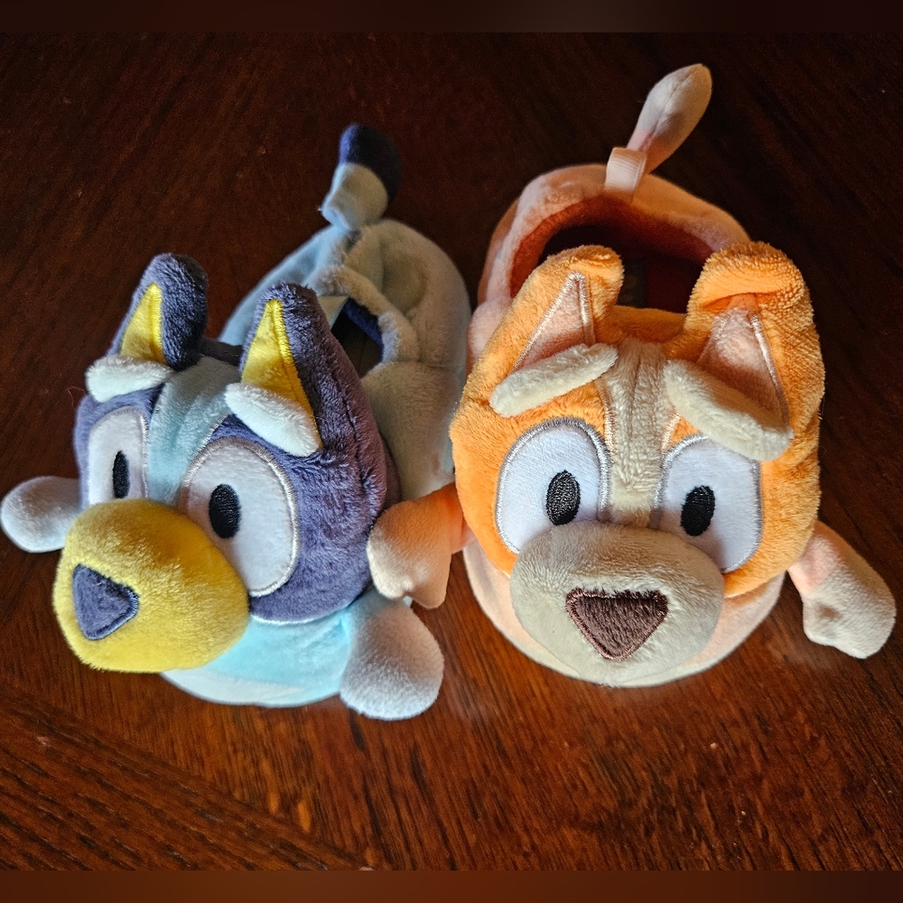 Bluey & Bingo Kids Slippers
